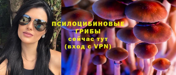 прущий лед Белокуриха